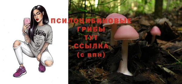 спайс Балабаново