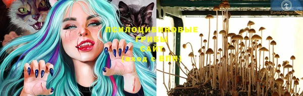 спайс Балабаново