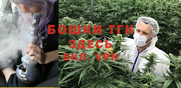 крисы Балахна