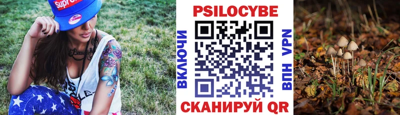 blacksprut ONION  мориарти Telegram  Псилоцибиновые грибы мухоморы  Гаврилов-Ям 